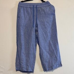 Talbots Light Blue Striped Pants